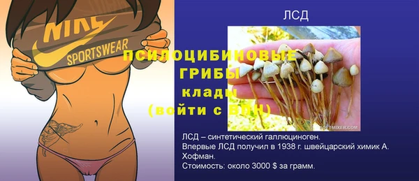 сатива Абинск