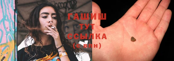 индика Саяногорск