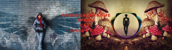 индика Саяногорск
