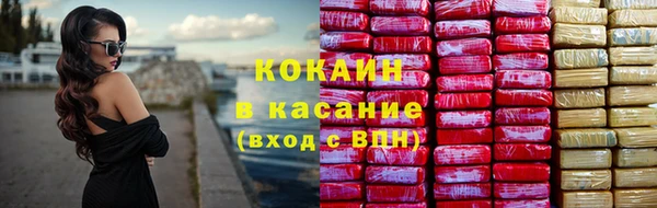 сатива Абинск