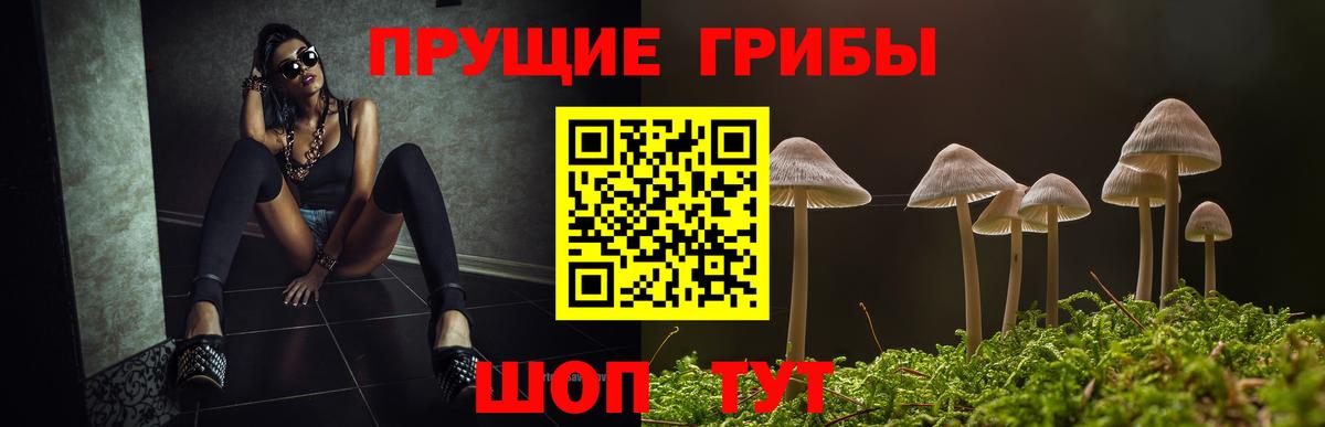 Дятьково  Псилоцибиновые грибы Magic Shrooms  Вход с VPN 