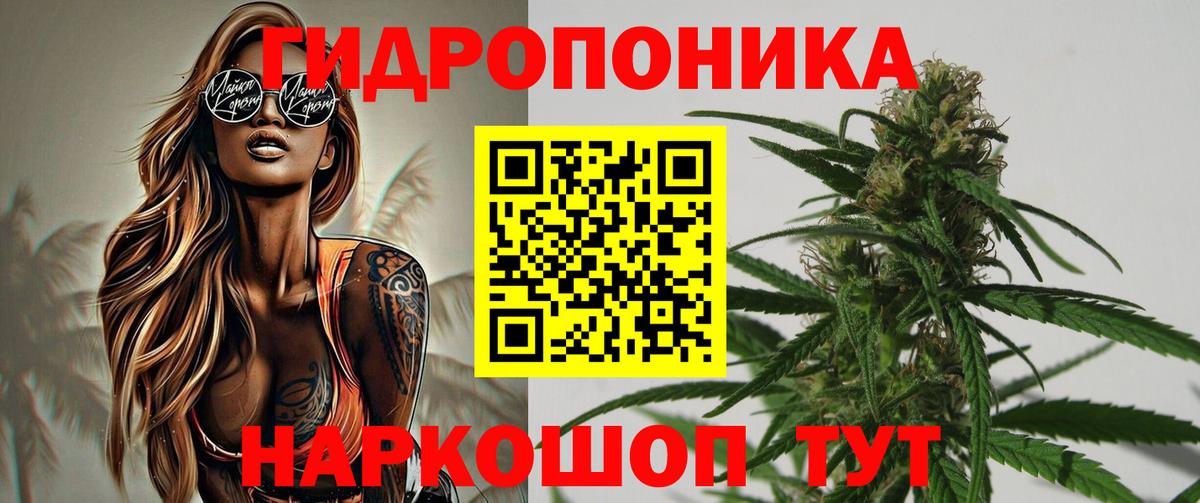 Бошки марихуана план  Бошки Шишки Bruce Banner  Марихуана Amnesia  Дятьково  Марихуана Amnesia  Вход с VPN 